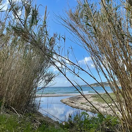 Vittoria * Trappeto (Sicily)