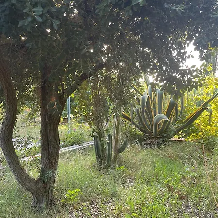 Vittoria Dom wakacyjny *