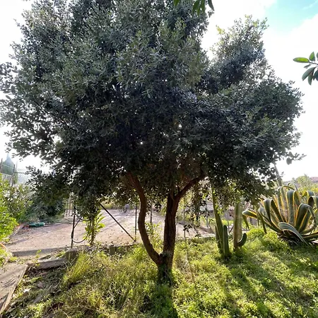 Holiday home Vittoria Trappeto (Sicily)