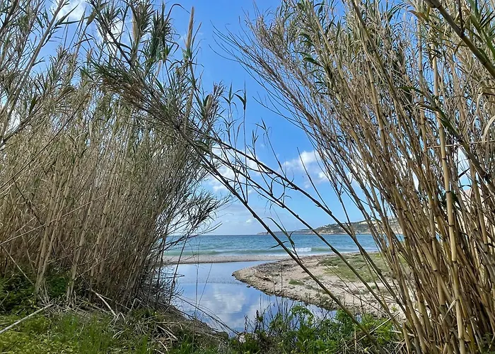 Vittoria * 特拉佩托