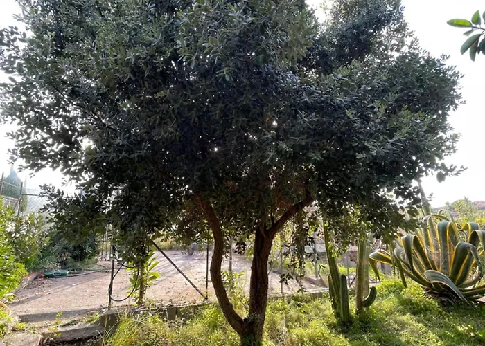 度假居 Vittoria 特拉佩托